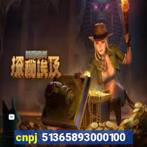 cnpj 51365893000100